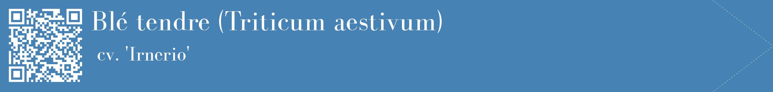 étiquette 2