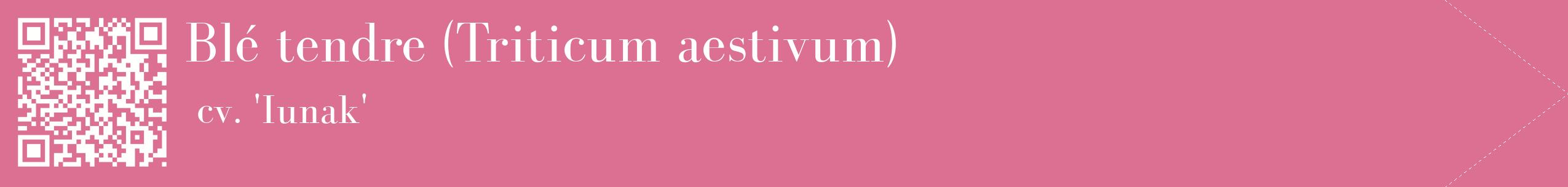 étiquette 2