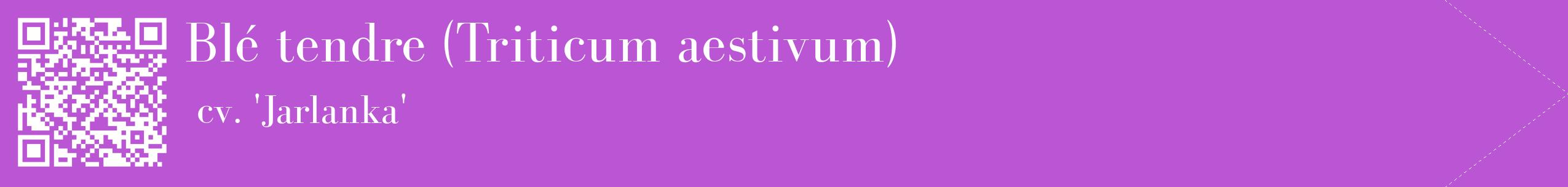 étiquette 2