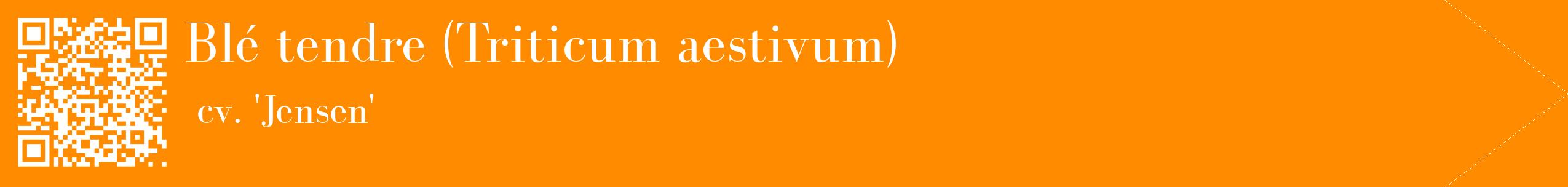 étiquette 2