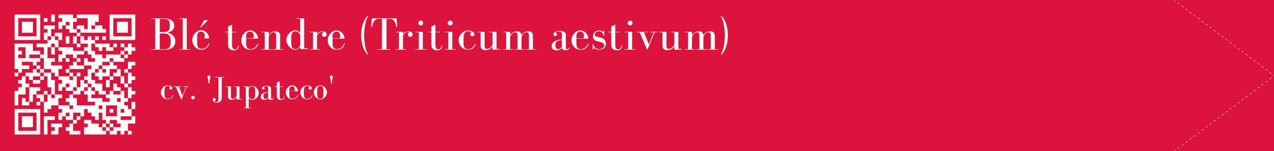 étiquette 2
