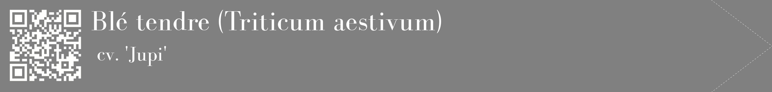 étiquette 2