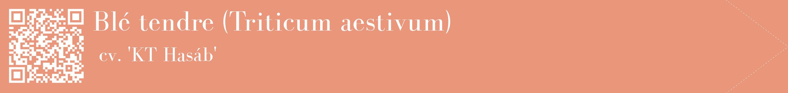étiquette 2