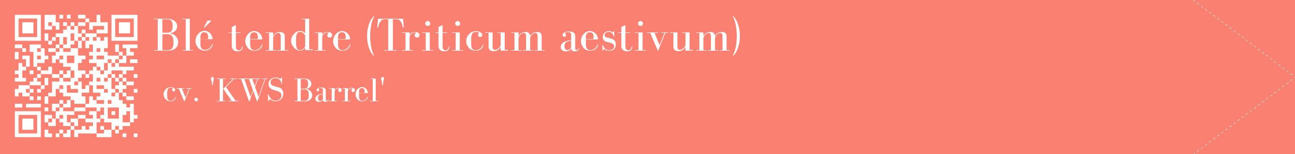 étiquette 2