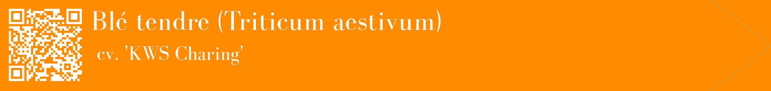 étiquette 2