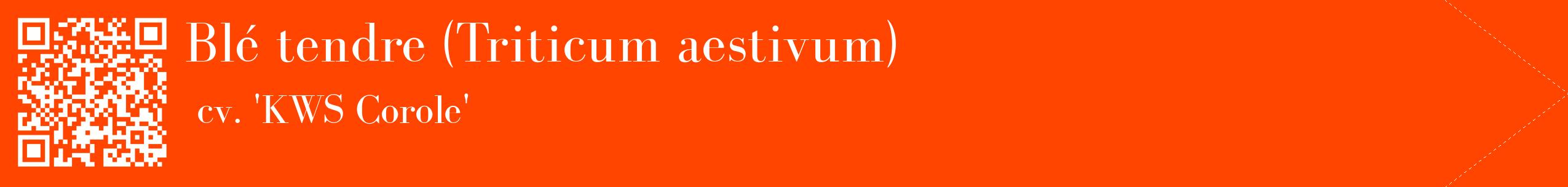 étiquette 2
