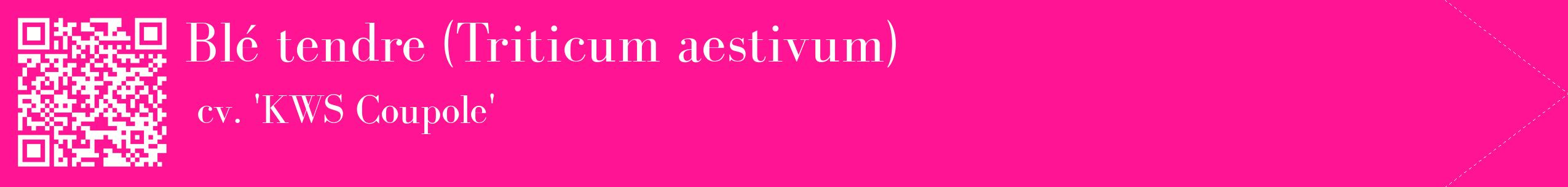 étiquette 2