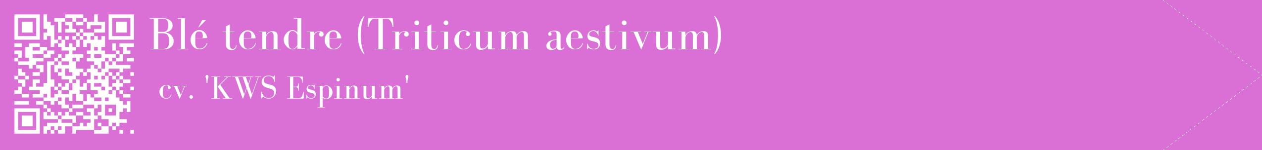 étiquette 2