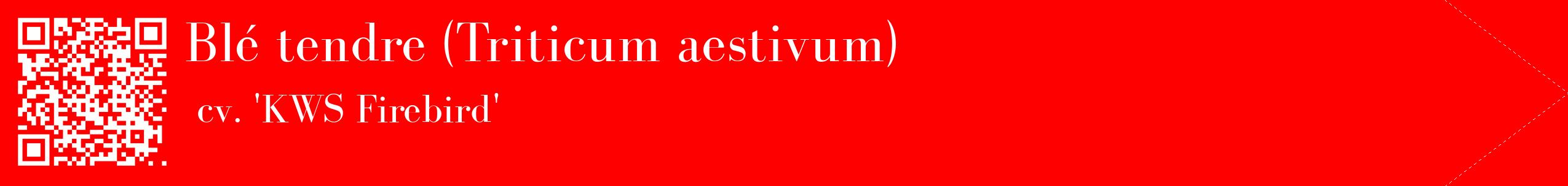 étiquette 2