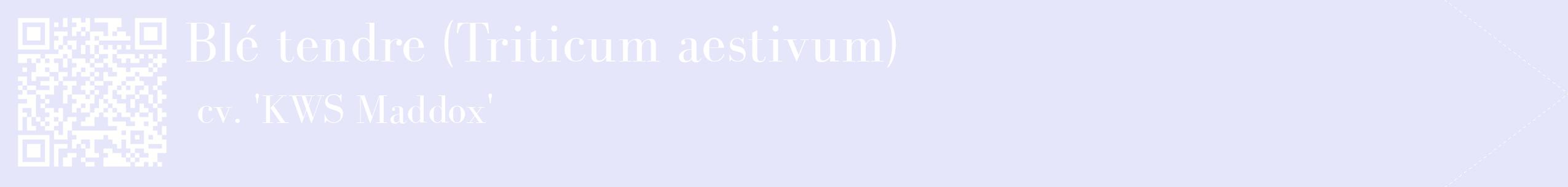 étiquette 2