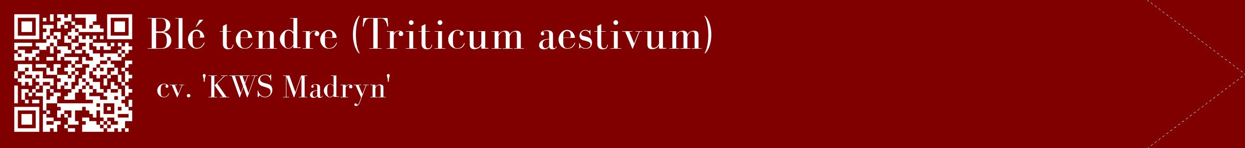 étiquette 2