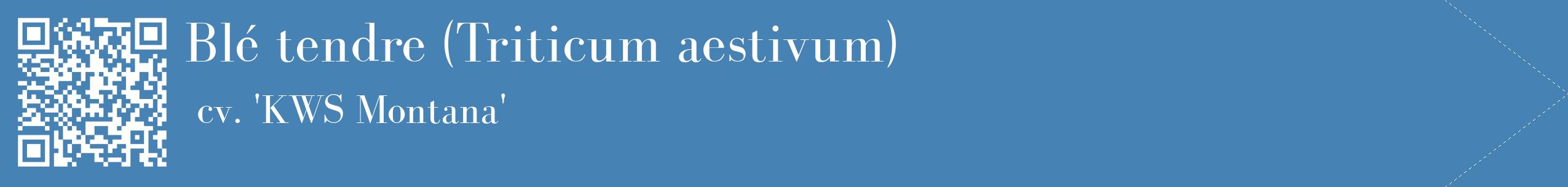 étiquette 2