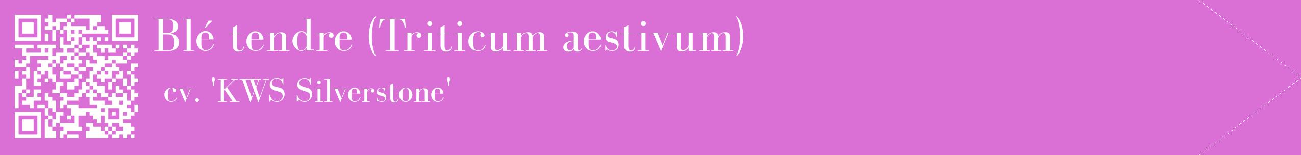 étiquette 2