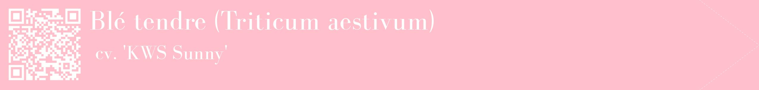étiquette 2