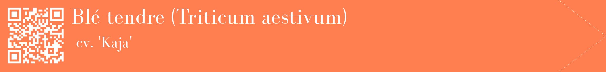 étiquette 2