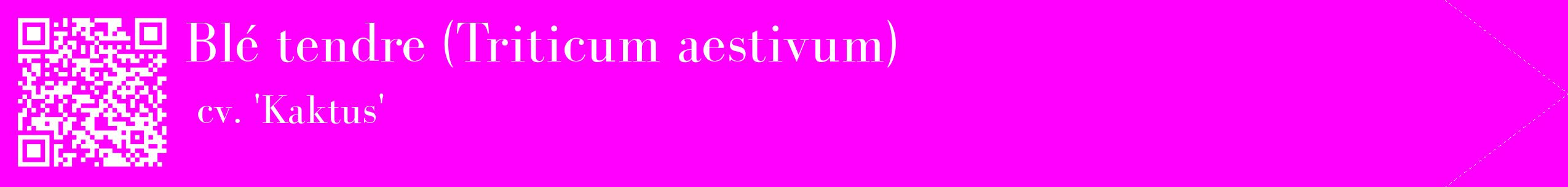 étiquette 2