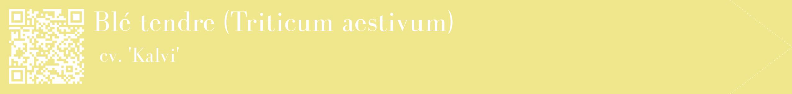 étiquette 2