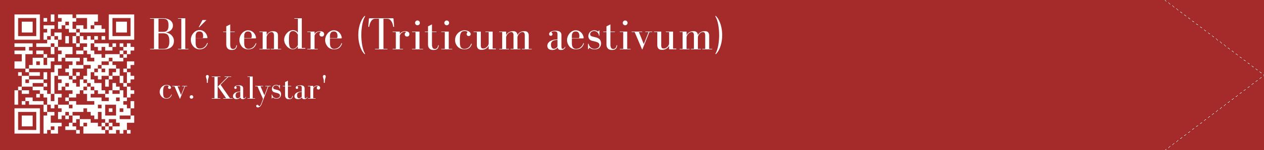 étiquette 2