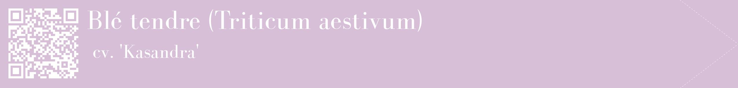 étiquette 2
