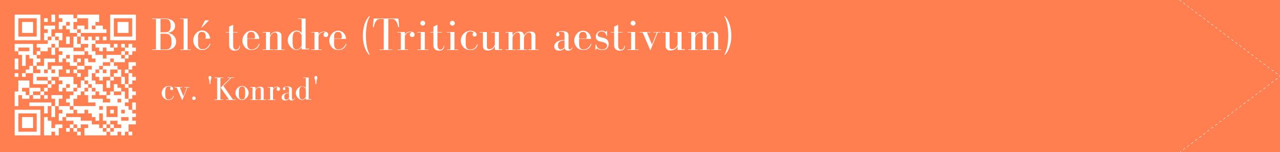 étiquette 2