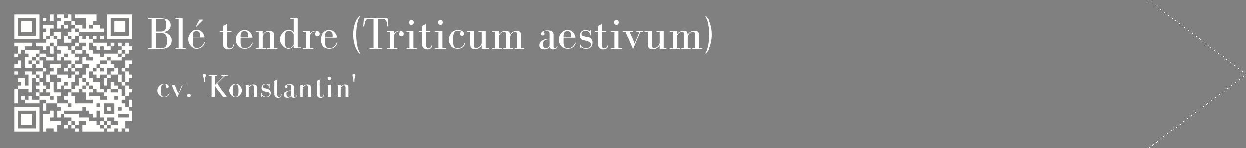 étiquette 2
