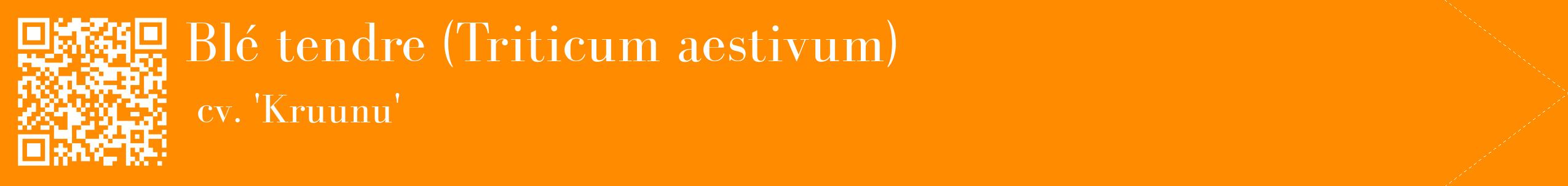 étiquette 2