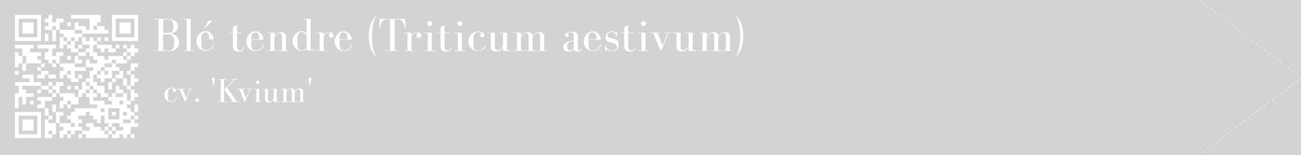 étiquette 2