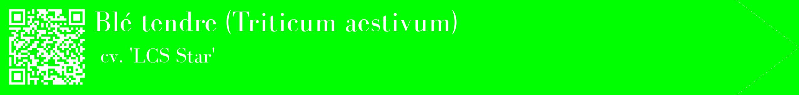 étiquette 2