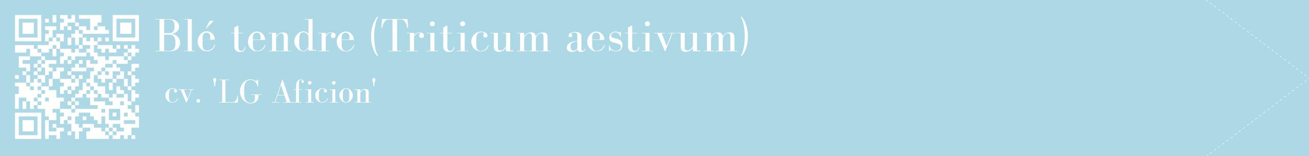 étiquette 2