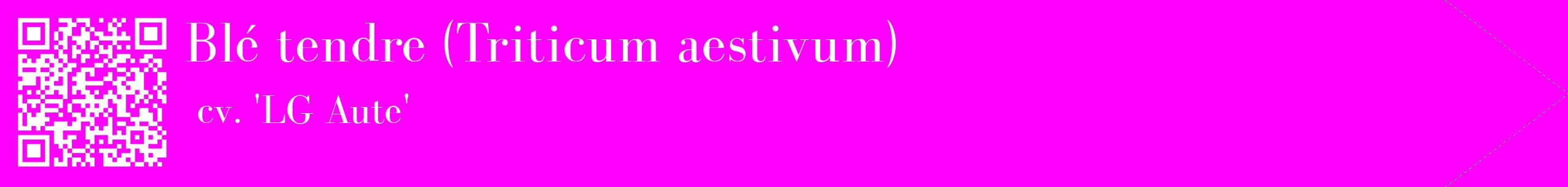 étiquette 2