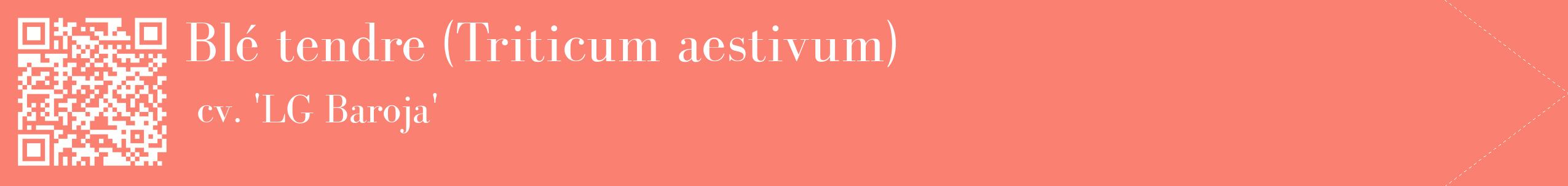 étiquette 2