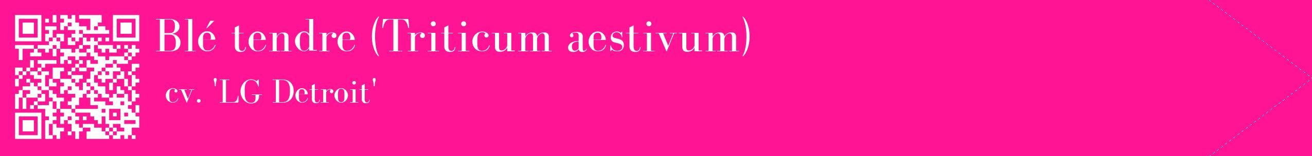 étiquette 2