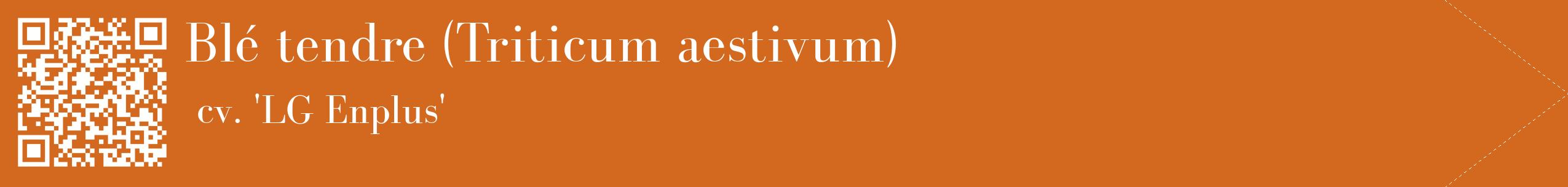 étiquette 2