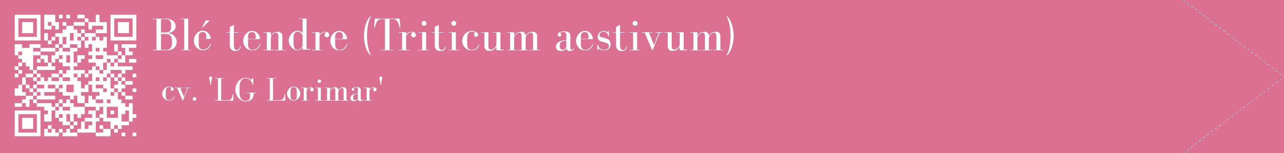 étiquette 2
