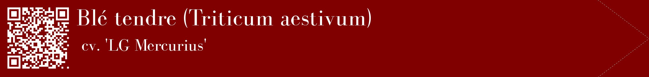 étiquette 2
