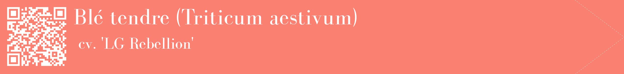 étiquette 2