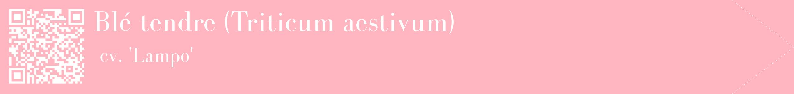 étiquette 2