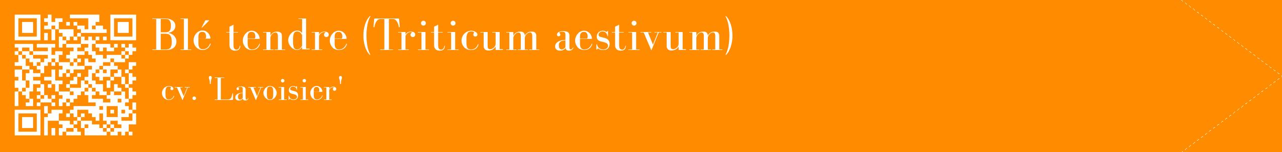 étiquette 2