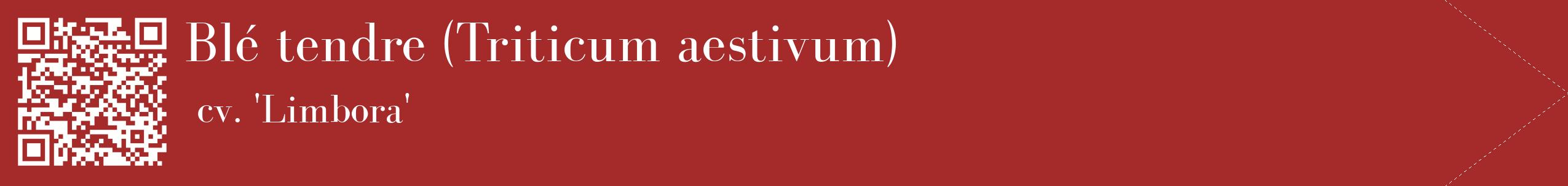 étiquette 2
