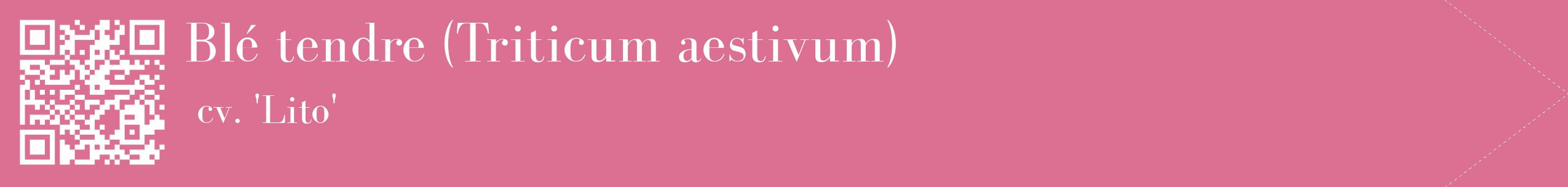 étiquette 2