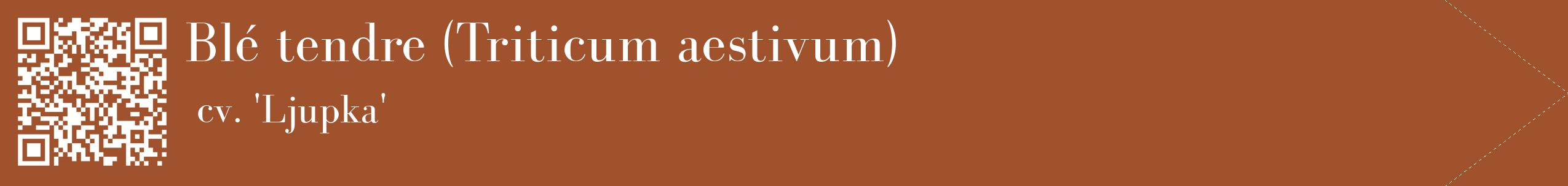 étiquette 2