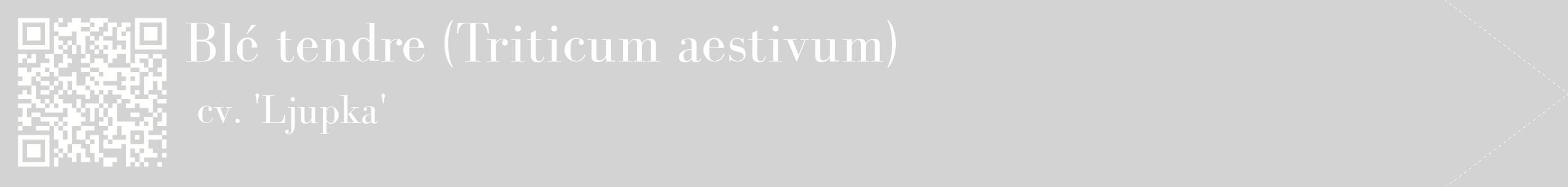 étiquette 2