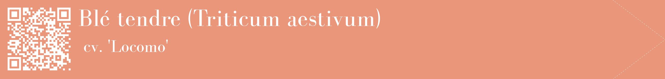 étiquette 2