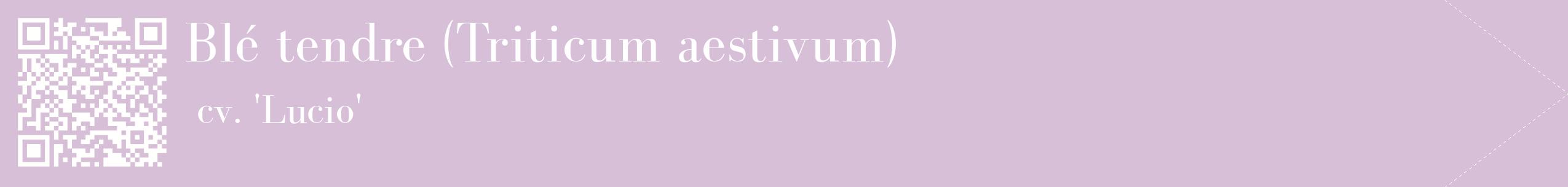 étiquette 2