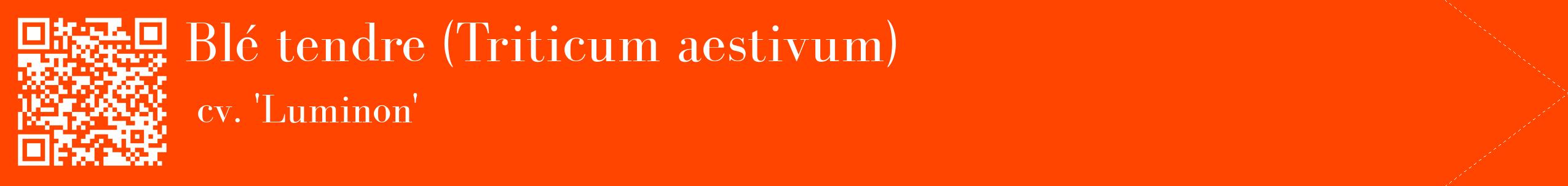 étiquette 2