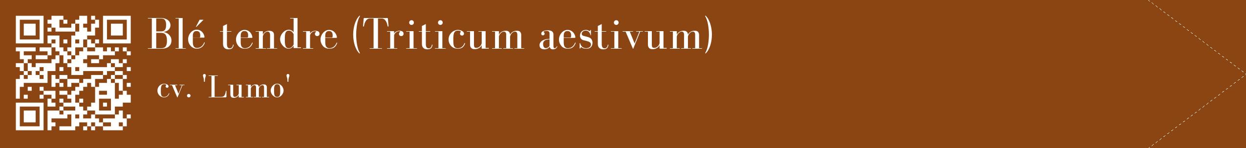 étiquette 2