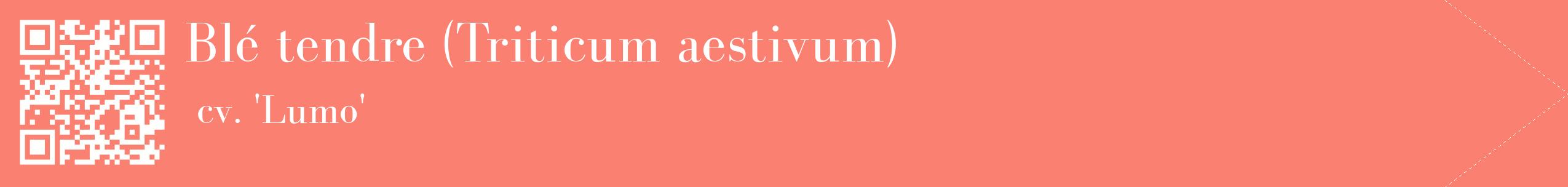 étiquette 2