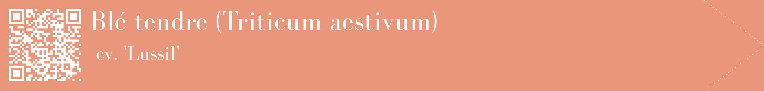 étiquette 2
