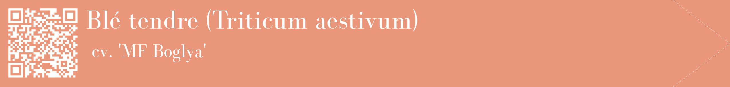 étiquette 2