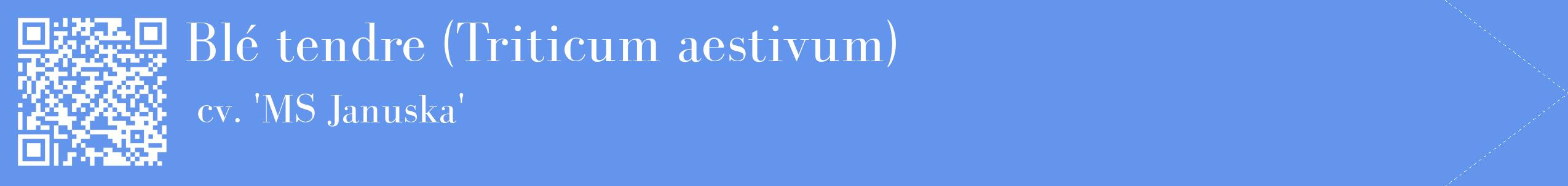 étiquette 2